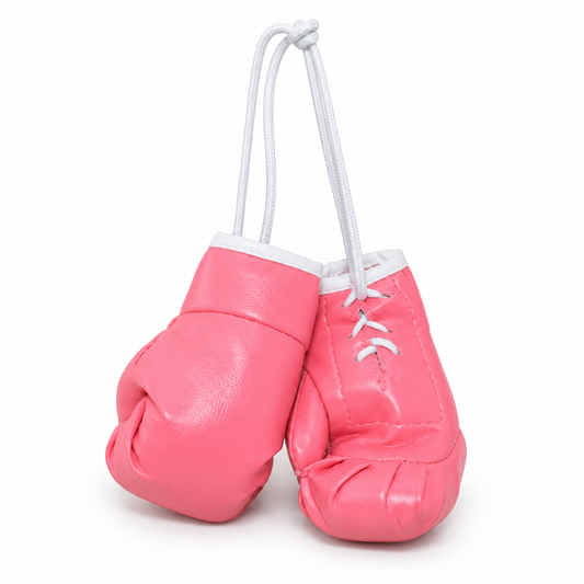 Mănuși de box mini