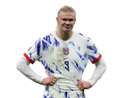 Set Stickere Haaland