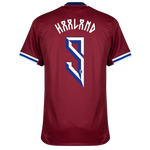 Set Stickere Haaland