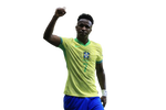 Set Stickere Vinicius